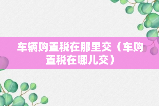 车辆购置税在那里交（车购置税在哪儿交）