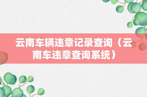 云南车辆违章记录查询（云南车违章查询系统）