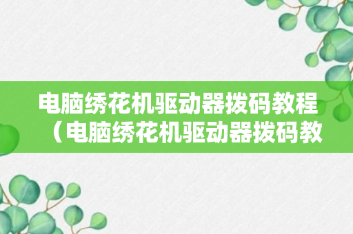 电脑绣花机驱动器拨码教程（电脑绣花机驱动器拨码教程视频）