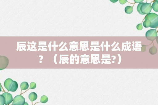 辰这是什么意思是什么成语？（辰的意思是?）