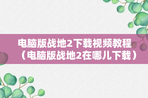 电脑版战地2下载视频教程（电脑版战地2在哪儿下载）