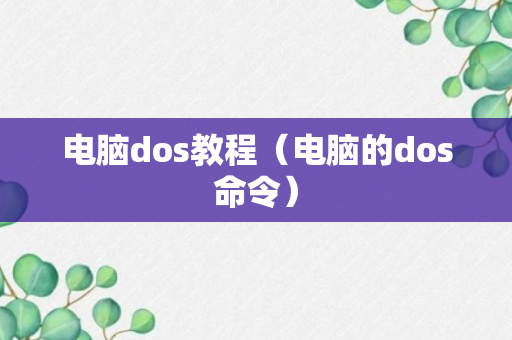 电脑dos教程（电脑的dos命令）