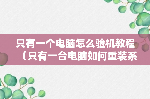 只有一个电脑怎么验机教程（只有一台电脑如何重装系统）