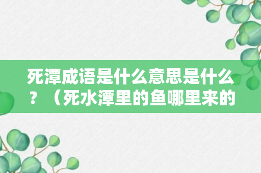 死潭成语是什么意思是什么？（死水潭里的鱼哪里来的）