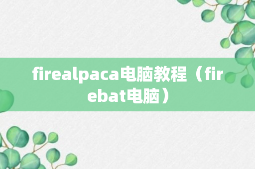 firealpaca电脑教程（firebat电脑）