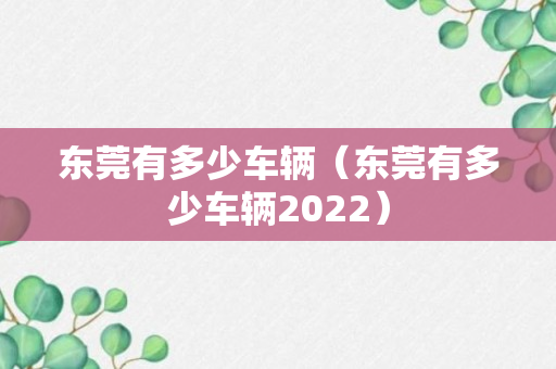 东莞有多少车辆（东莞有多少车辆2022）