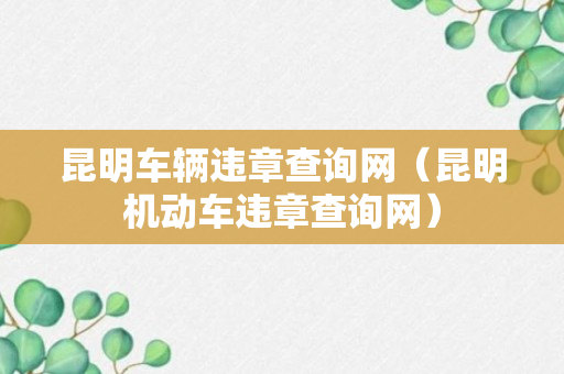 昆明车辆违章查询网（昆明机动车违章查询网）