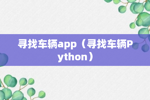 寻找车辆app（寻找车辆Python）