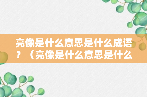 亮像是什么意思是什么成语？（亮像是什么意思是什么成语呢）