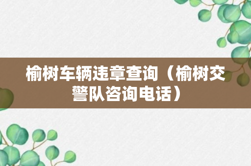 榆树车辆违章查询（榆树交警队咨询电话）