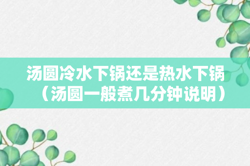 汤圆冷水下锅还是热水下锅（汤圆一般煮几分钟说明）