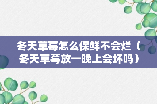 冬天草莓怎么保鲜不会烂（冬天草莓放一晚上会坏吗）