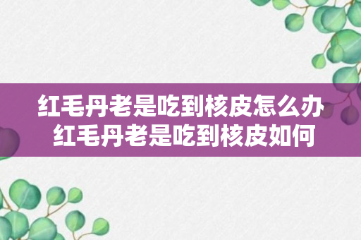 红毛丹老是吃到核皮怎么办 红毛丹老是吃到核皮如何解决呢