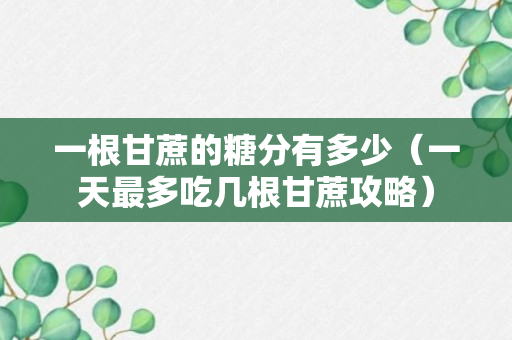 一根甘蔗的糖分有多少（一天最多吃几根甘蔗攻略）