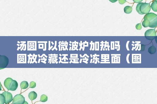 汤圆可以微波炉加热吗（汤圆放冷藏还是冷冻里面（图文攻略））