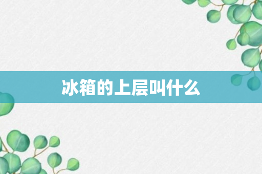 冰箱的上层叫什么