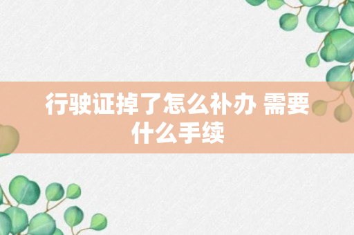 行驶证掉了怎么补办 需要什么手续