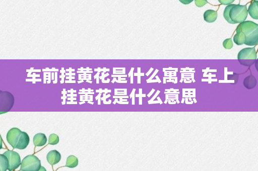 车前挂黄花是什么寓意 车上挂黄花是什么意思