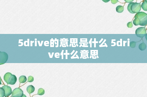 5drive的意思是什么 5drive什么意思