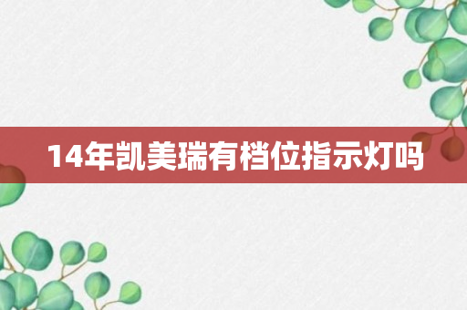 14年凯美瑞有档位指示灯吗