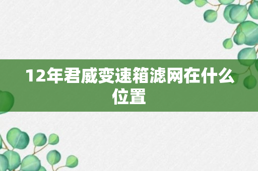 12年君威变速箱滤网在什么位置