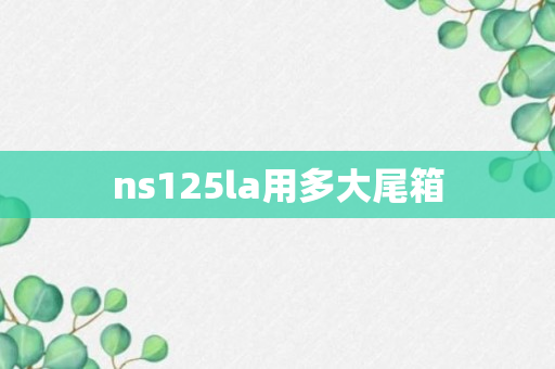 ns125la用多大尾箱