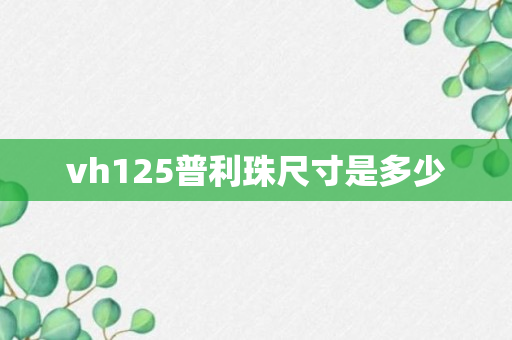 vh125普利珠尺寸是多少