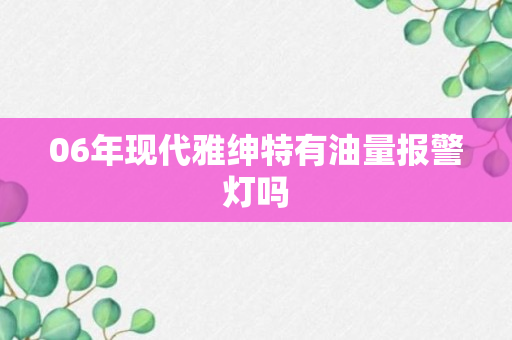 06年现代雅绅特有油量报警灯吗