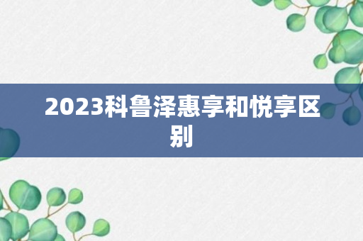 2023科鲁泽惠享和悦享区别