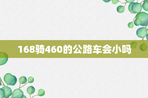 168骑460的公路车会小吗