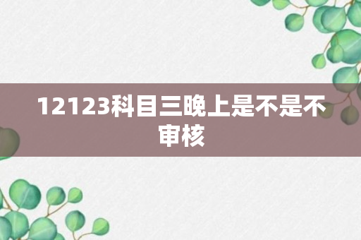 12123科目三晚上是不是不审核