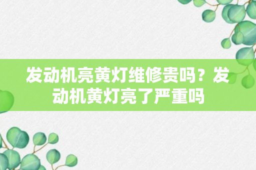 发动机亮黄灯维修贵吗？发动机黄灯亮了严重吗