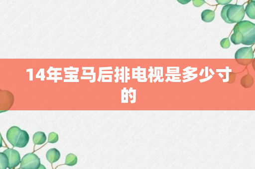 14年宝马后排电视是多少寸的