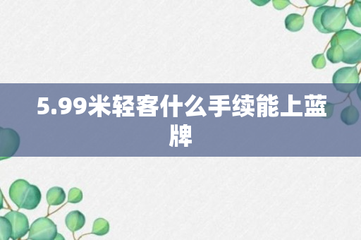 5.99米轻客什么手续能上蓝牌