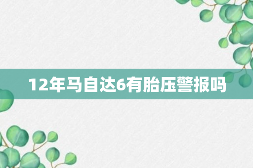 12年马自达6有胎压警报吗