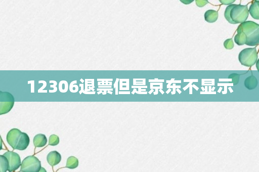 12306退票但是京东不显示