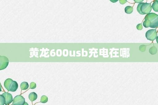 黄龙600usb充电在哪