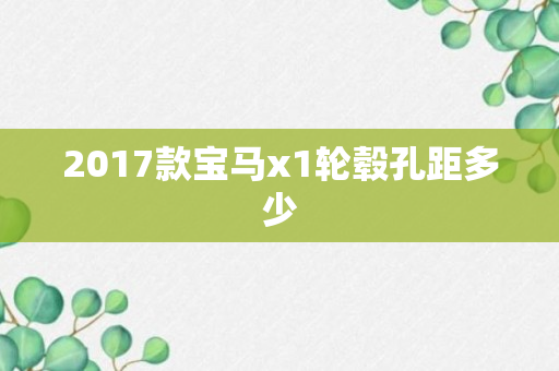 2017款宝马x1轮毂孔距多少