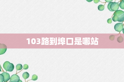 103路到埠口是哪站