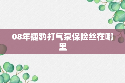 08年捷豹打气泵保险丝在哪里