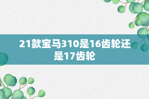 21款宝马310是16齿轮还是17齿轮