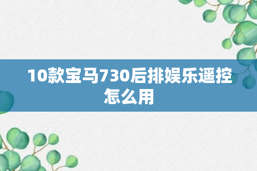 10款宝马730后排娱乐遥控怎么用