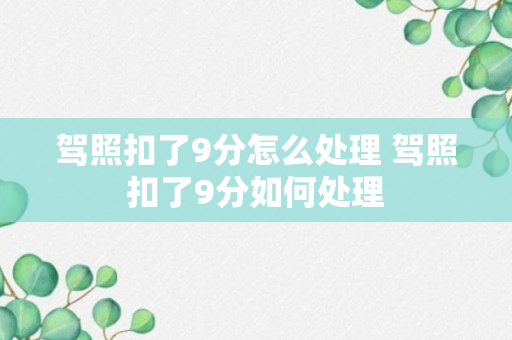 驾照扣了9分怎么处理 驾照扣了9分如何处理