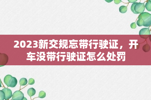 2023新交规忘带行驶证，开车没带行驶证怎么处罚