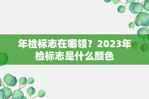 年检标志在哪领？2023年检标志是什么颜色