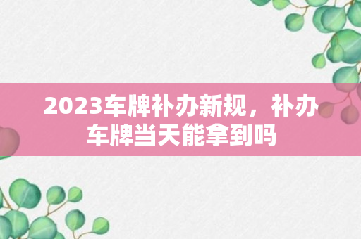 2023车牌补办新规，补办车牌当天能拿到吗