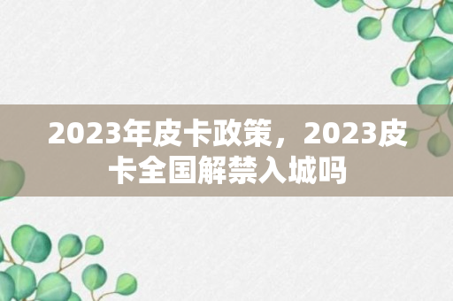 2023年皮卡政策，2023皮卡全国解禁入城吗