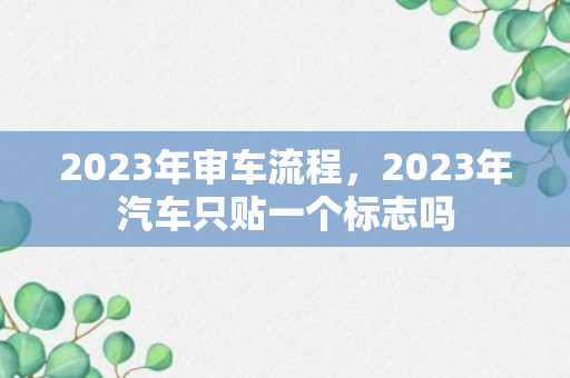 2023年审车流程，2023年汽车只贴一个标志吗