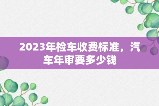 2023年检车收费标准，汽车年审要多少钱