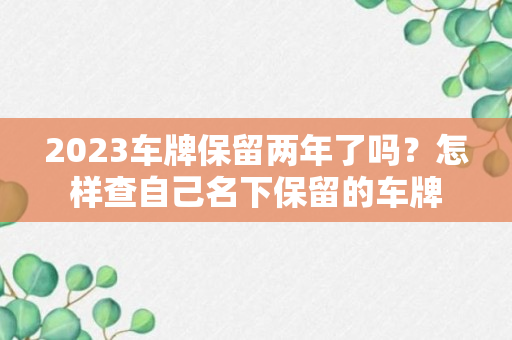 2023车牌保留两年了吗？怎样查自己名下保留的车牌